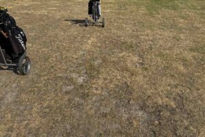 Golfclub Seddiner See - Einzigartiges Design und zwei Meisterschaftsplätze 7 Aktuelle Zustand – Golfplatz Seddiner See 2025