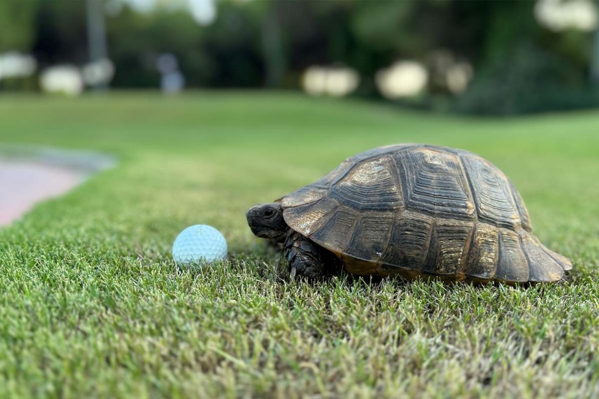 Durchschnittliche Spielzeit