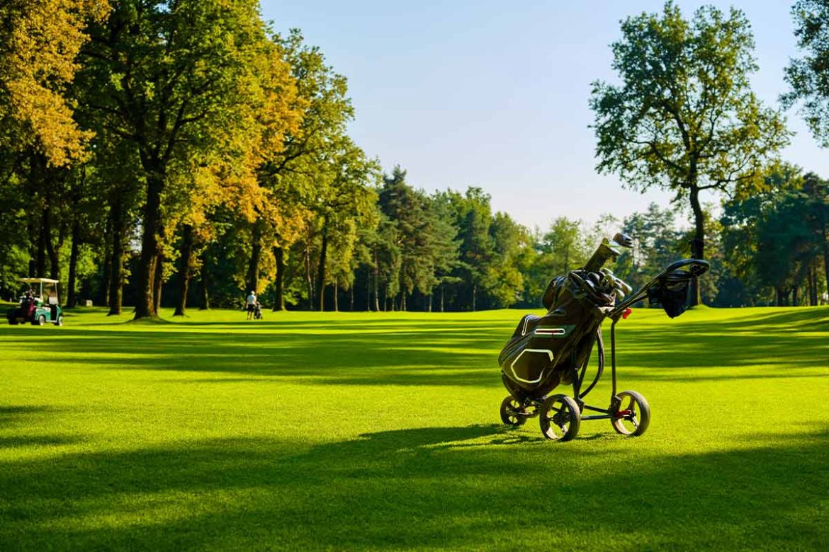 Golfbags und Trolleys
